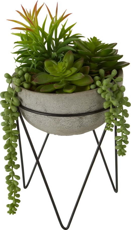 Umělý sukulent (výška 36 cm) Fiori – Premier Housewares