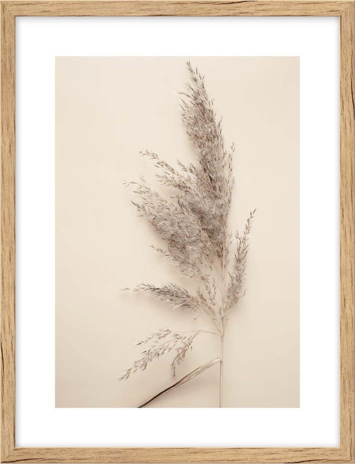 Obraz 30x40 cm Grass – knor