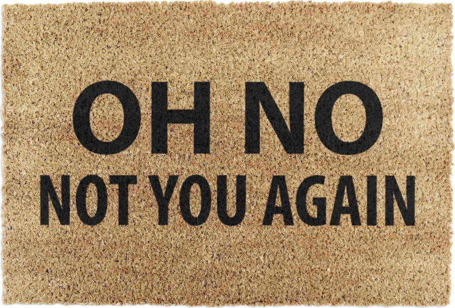 Rohožka z kokosového vlákna 40x60 cm Not You Again – Artsy Doormats