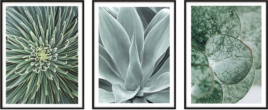 Obrazy v sadě 3 ks 30x40 cm – knor