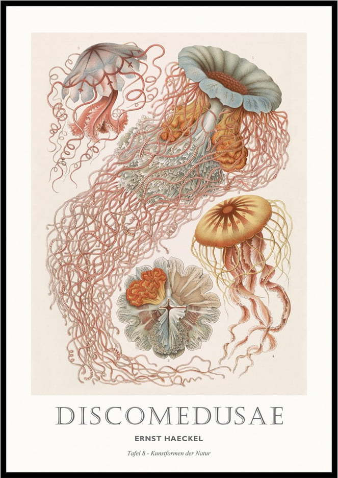 Obraz 30x40 cm Tafel – Malerifabrikken