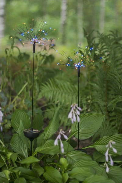 Venkovní solární LED svítidlo s barevnými diodami Star Trading Firework, výška 100 cm