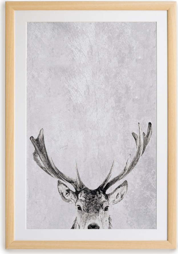 Obraz 30x40 cm Deer – Surdic