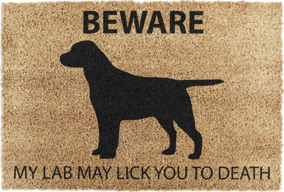 Rohožka z kokosového vlákna 40x60 cm Labrador – Artsy Doormats