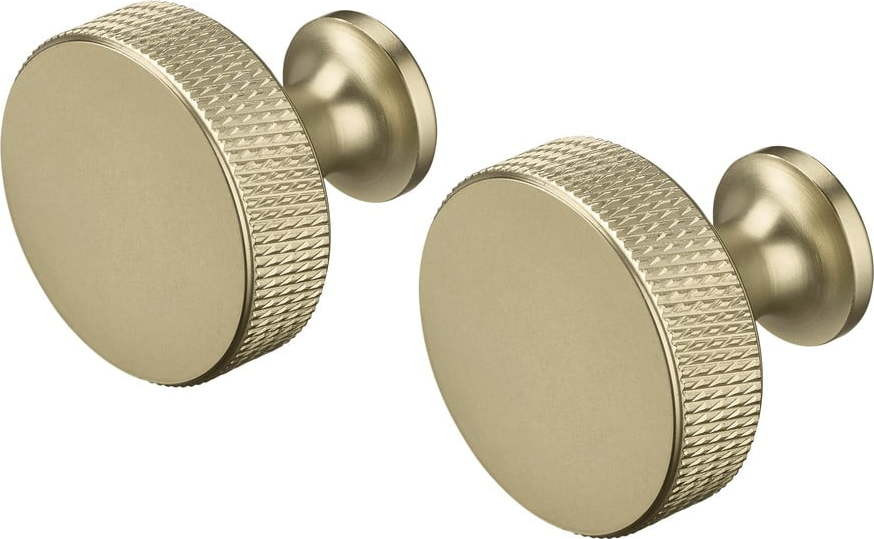 Nástěnné kovové háčky v sadě v mosazné barvě 2 ks Rof – Blomus