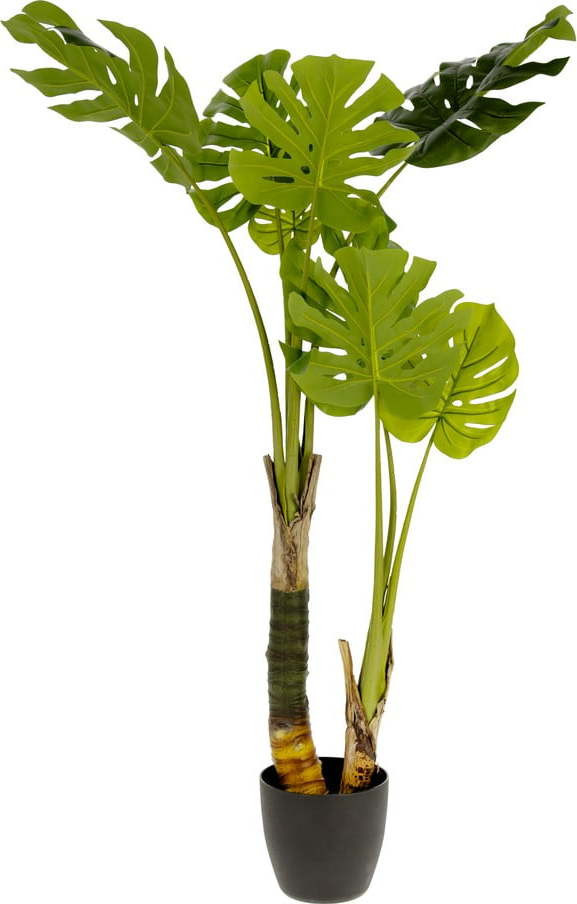 Umělá monstera (výška 130 cm) – Kave Home