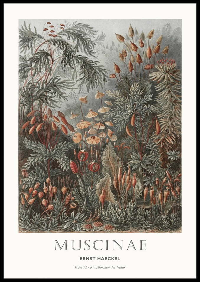 Obraz 51x71 cm Tafel 72 – Malerifabrikken