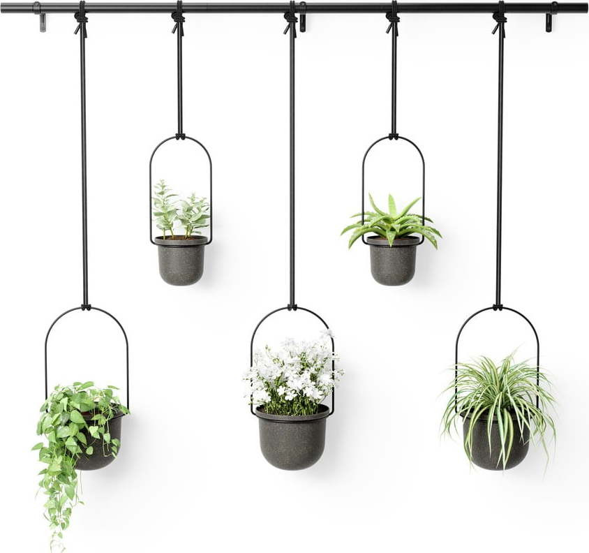 Plastové obaly na květináče v sadě 5 ks na bylinky/závěsné ø 7,5 cm Triflora – Umbra