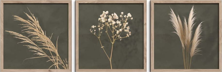 Obrazy v sadě 3 ks 30x30 cm Pampas – Styler