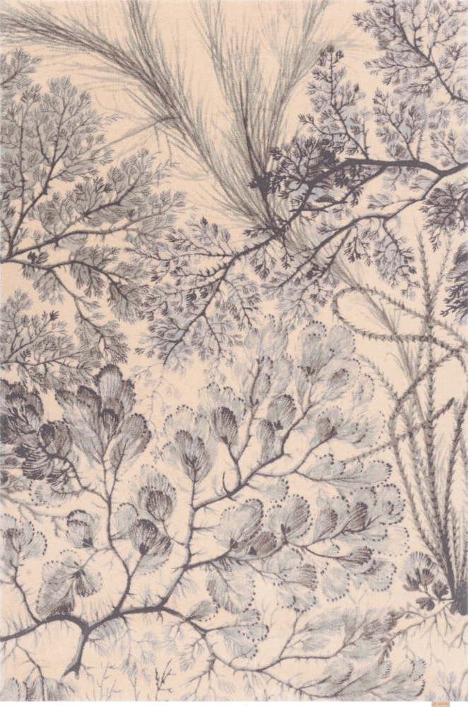 Vlněný koberec v mentolové a béžové barvě 170x240 cm V&A Calisia Kelp – Agnella