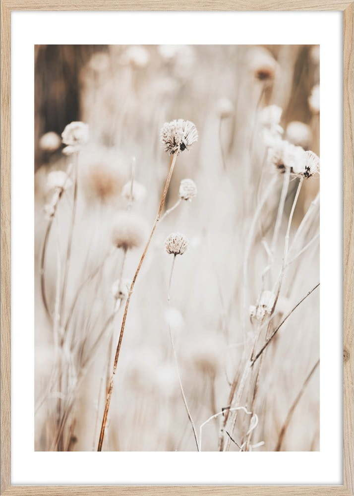 Obraz 50x70 cm Beige I – Styler