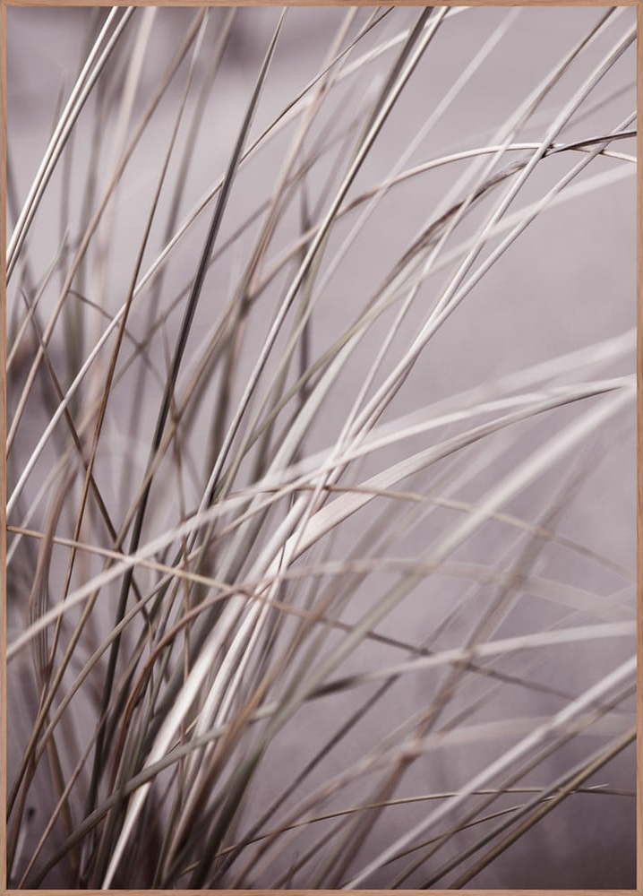 Obraz 50x70 cm Mellow Grasses 1 – Malerifabrikken
