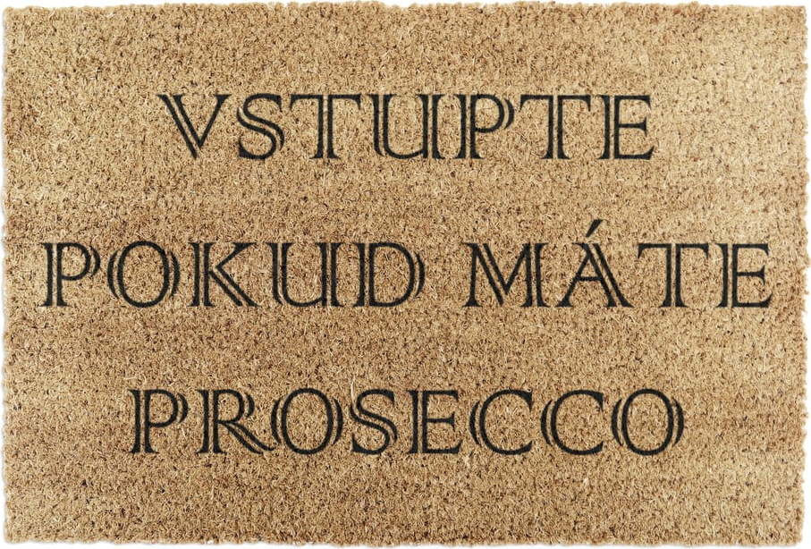 Rohožka z kokosového vlákna 40x60 cm Prosecco – Artsy Doormats