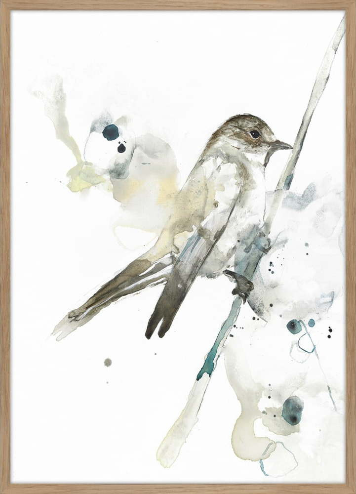 Obraz 50x70 cm Bird 2 – Malerifabrikken
