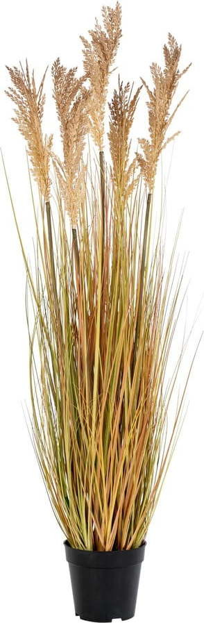 Umělá tráva (výška 110 cm) Sorghum – House Nordic