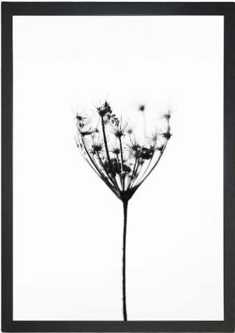 Obraz 23x28 cm Misty Splendor – Vavien Artwork