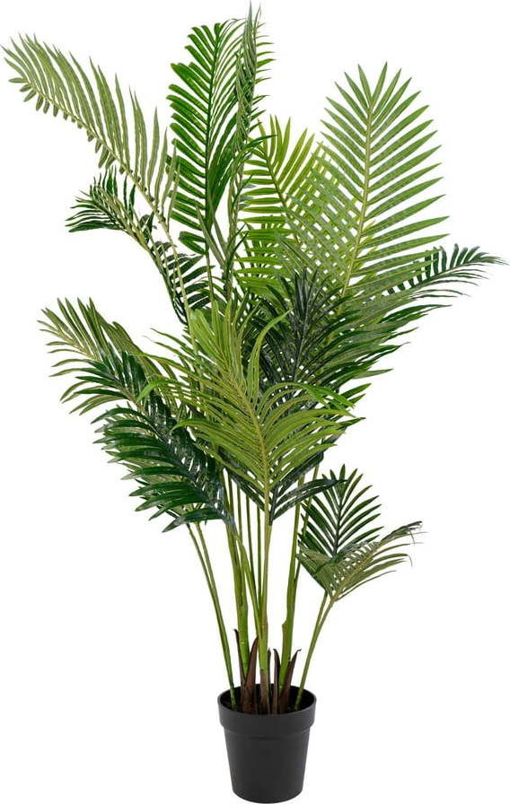 Umělá palma (výška 175 cm) Areca – House Nordic