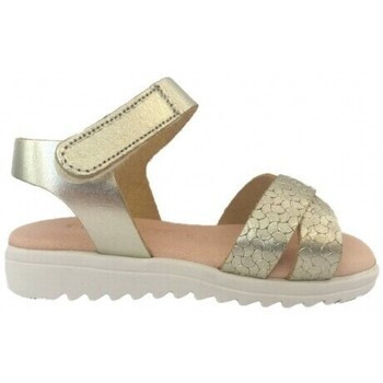 Coquette  15003 Oro  Zlatá