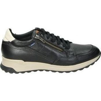 Nuper  1300  Černá