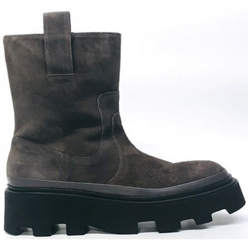 Pons Quintana  -  ruznobarevne