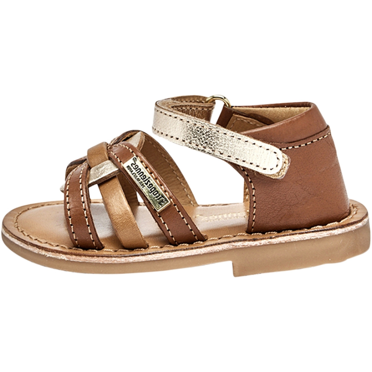 Les Tropéziennes par M Belarbi  230883  Hnědá