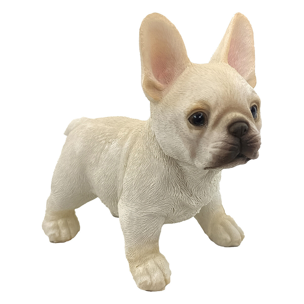 Signes Grimalt  Pes  Oranžová