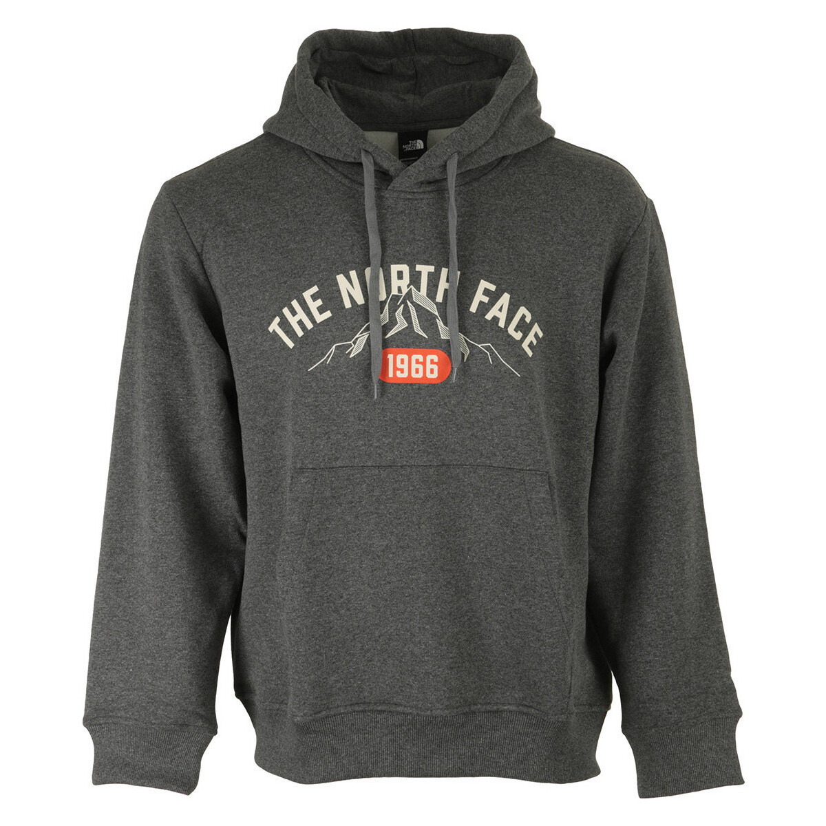 The North Face  M Hoodie Varsity Graphic  Šedá
