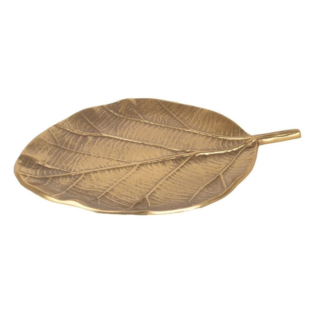 Signes Grimalt  Zásobník  Hnědá