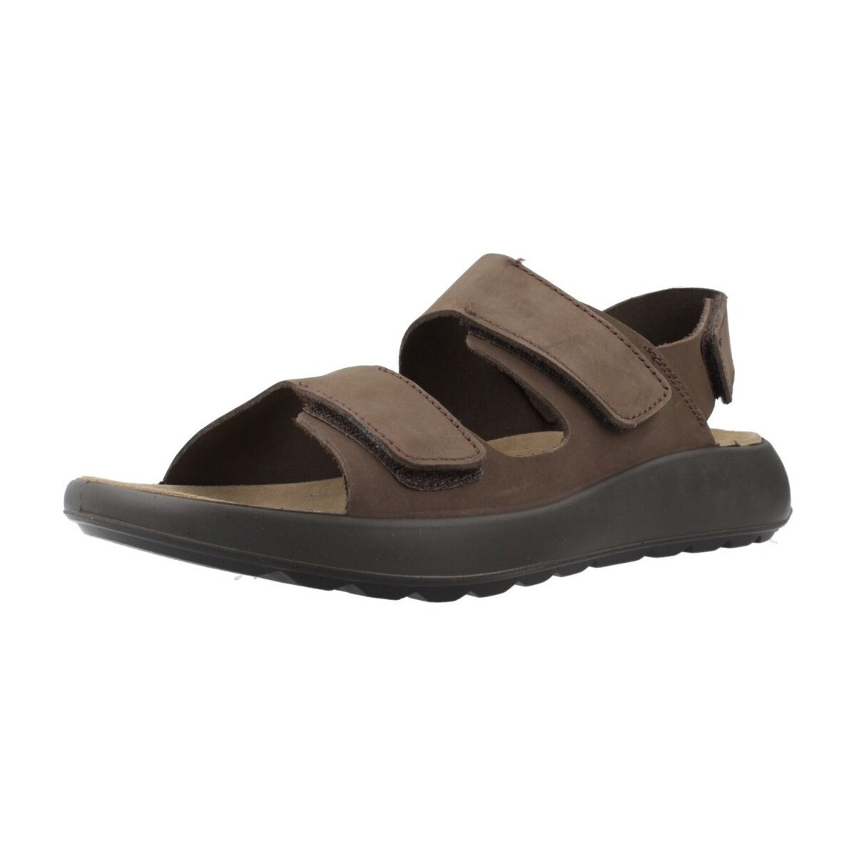 IgI&CO  U PALMER  Hnědá