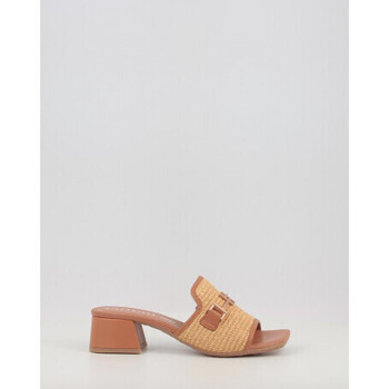 Hispanitas  RHV254071  Hnědá