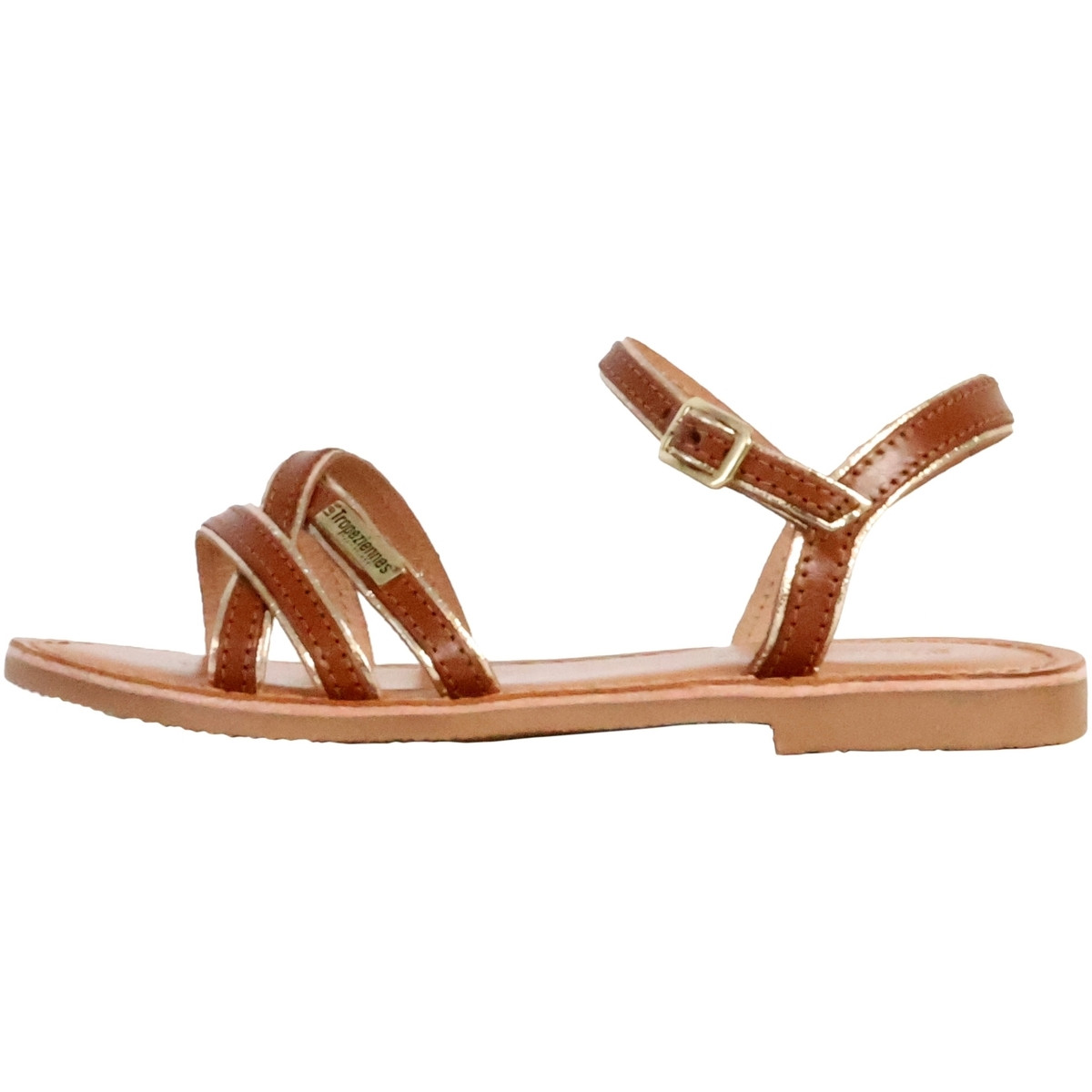 Les Tropéziennes par M Belarbi  248798  Hnědá