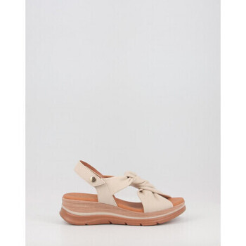 Paula Urban  24-335  ruznobarevne