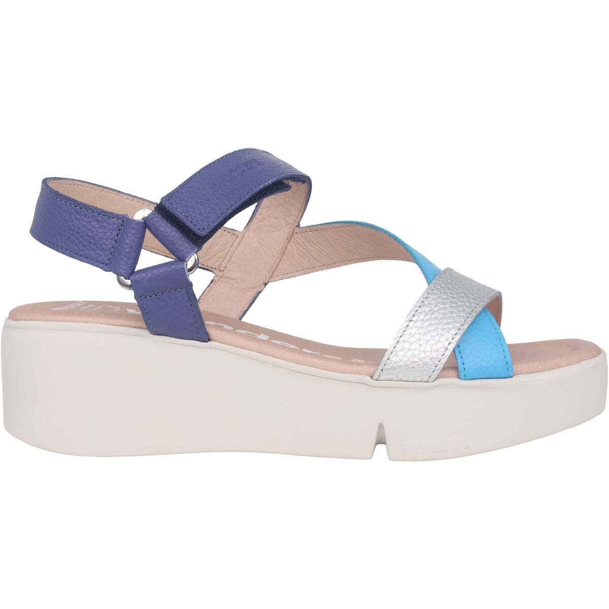 Wonders  Pandora  Modrá