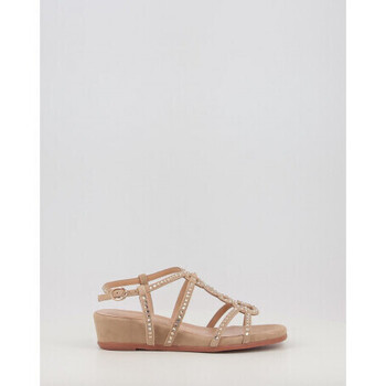 ALMA EN PENA  V2551770  Hnědá