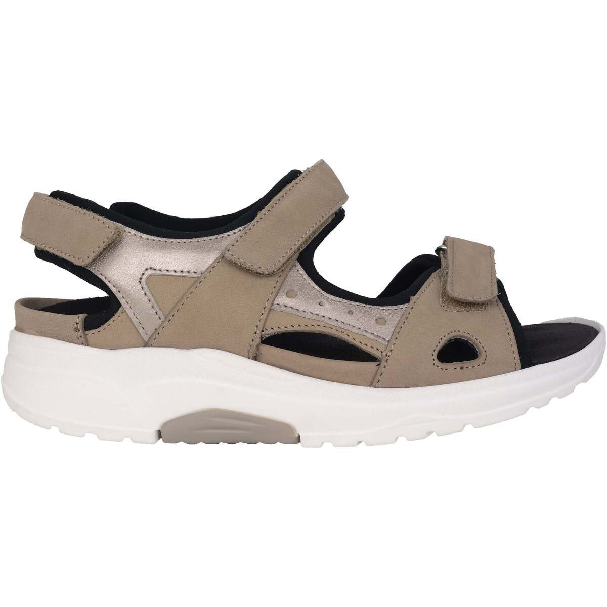 Waldläufer  H-Yvonne  ruznobarevne