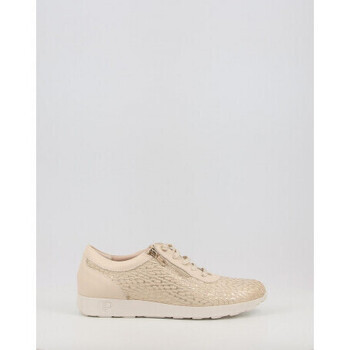 Pitillos  10423  Zlatá