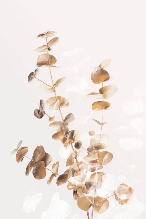 Studio Collection Ilustrace Eucalyptus Creative Gold 03, Studio Collection, 26.7 × 40 cm