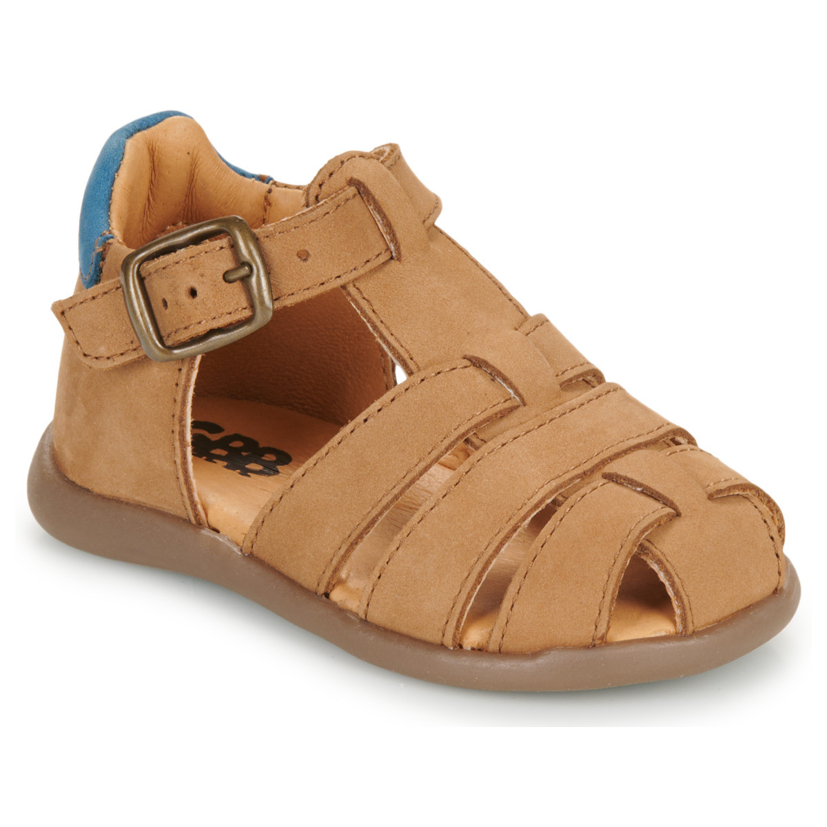 GBB  RICARDO  Hnědá