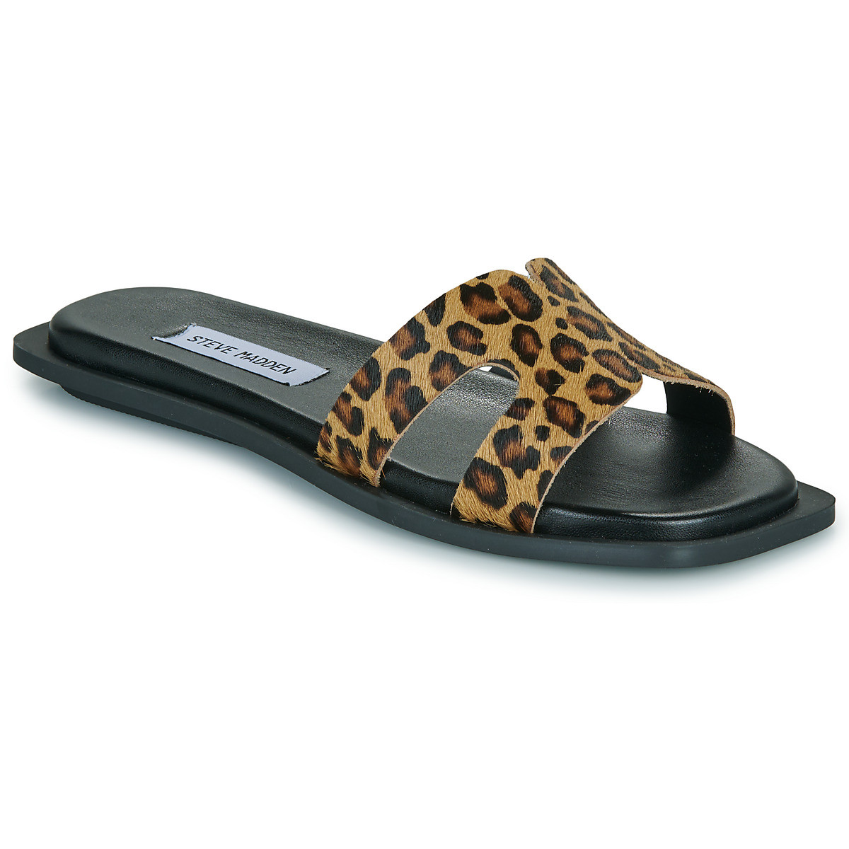 Steve Madden  SOFIA  Hnědá