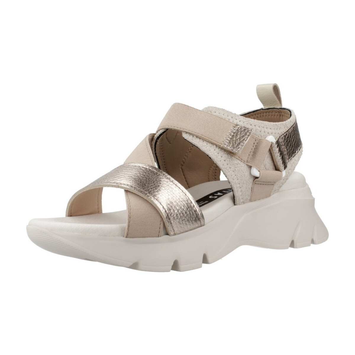 Hispanitas  HV254007