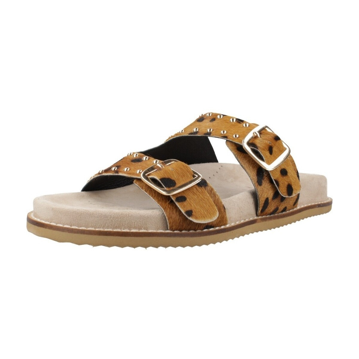 Gioseppo  GUENTHER  ruznobarevne