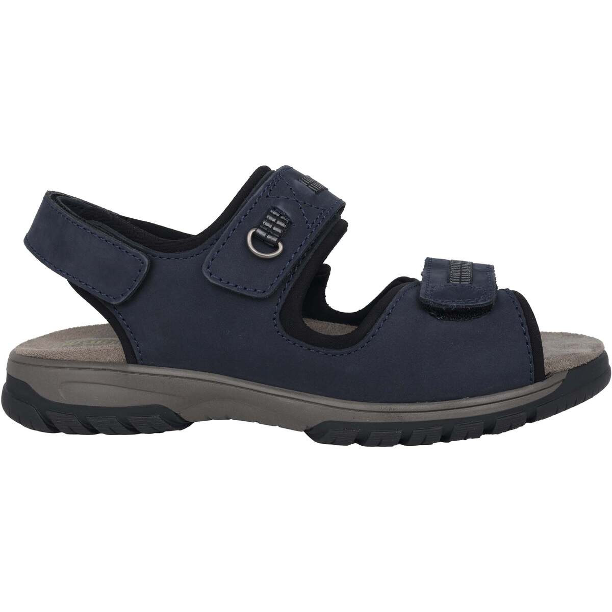 Waldläufer  Harald  Modrá