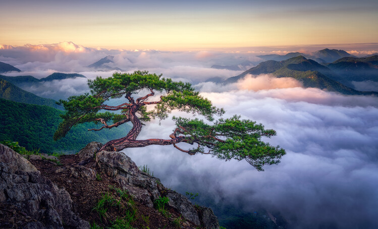 Tiger Seo Fotografie On the rock, Tiger Seo, 40 × 24.3 cm