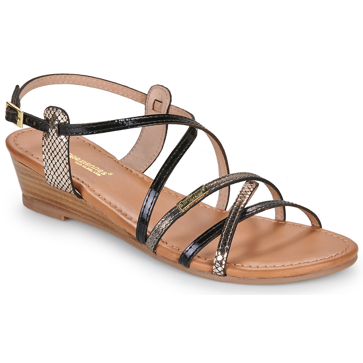 Les Tropéziennes par M Belarbi  HARO  ruznobarevne