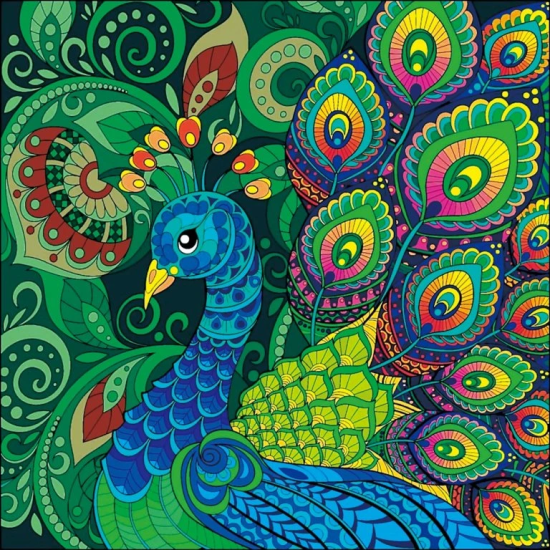 Norimpex Diamantový obrázek 7D - Páv - 30 x 30 cm - 1006569