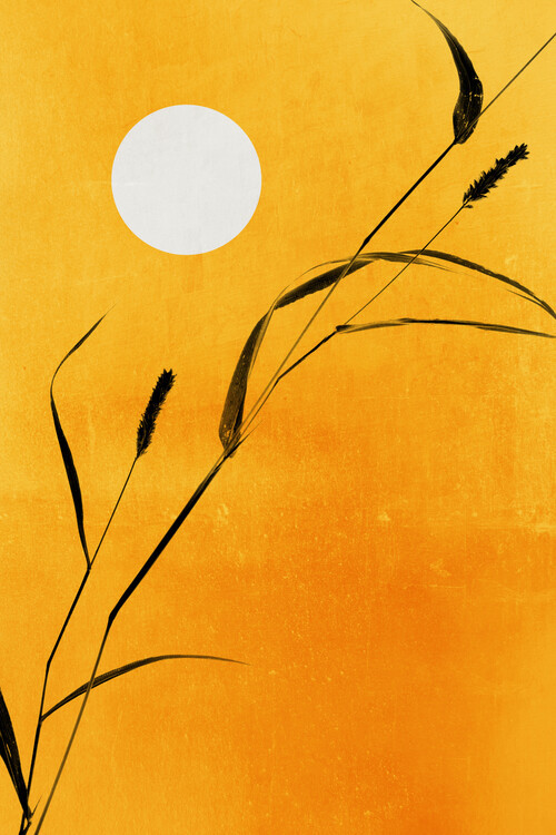 Kubistika Ilustrace Sunny Days, Kubistika, 26.7 × 40 cm