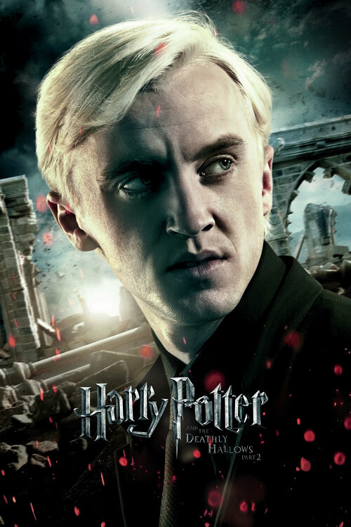 POSTERS Umělecký tisk Harry Potter - Draco, 26.7 × 40 cm