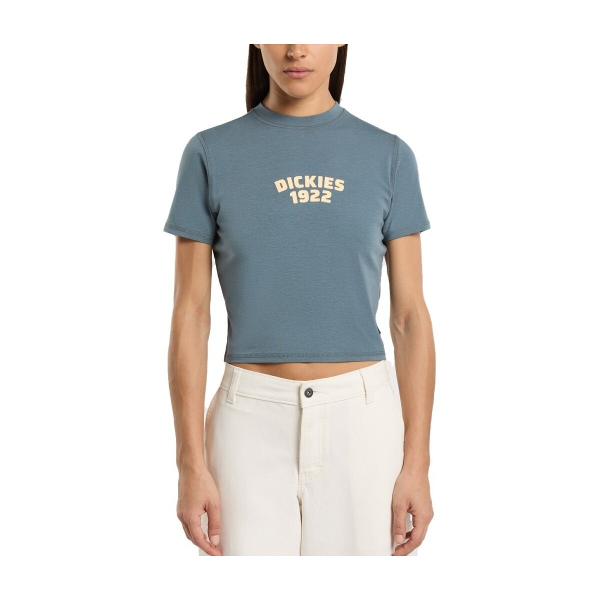 Dickies  DK0A4Z8FG701 CENTER LOGO  Modrá