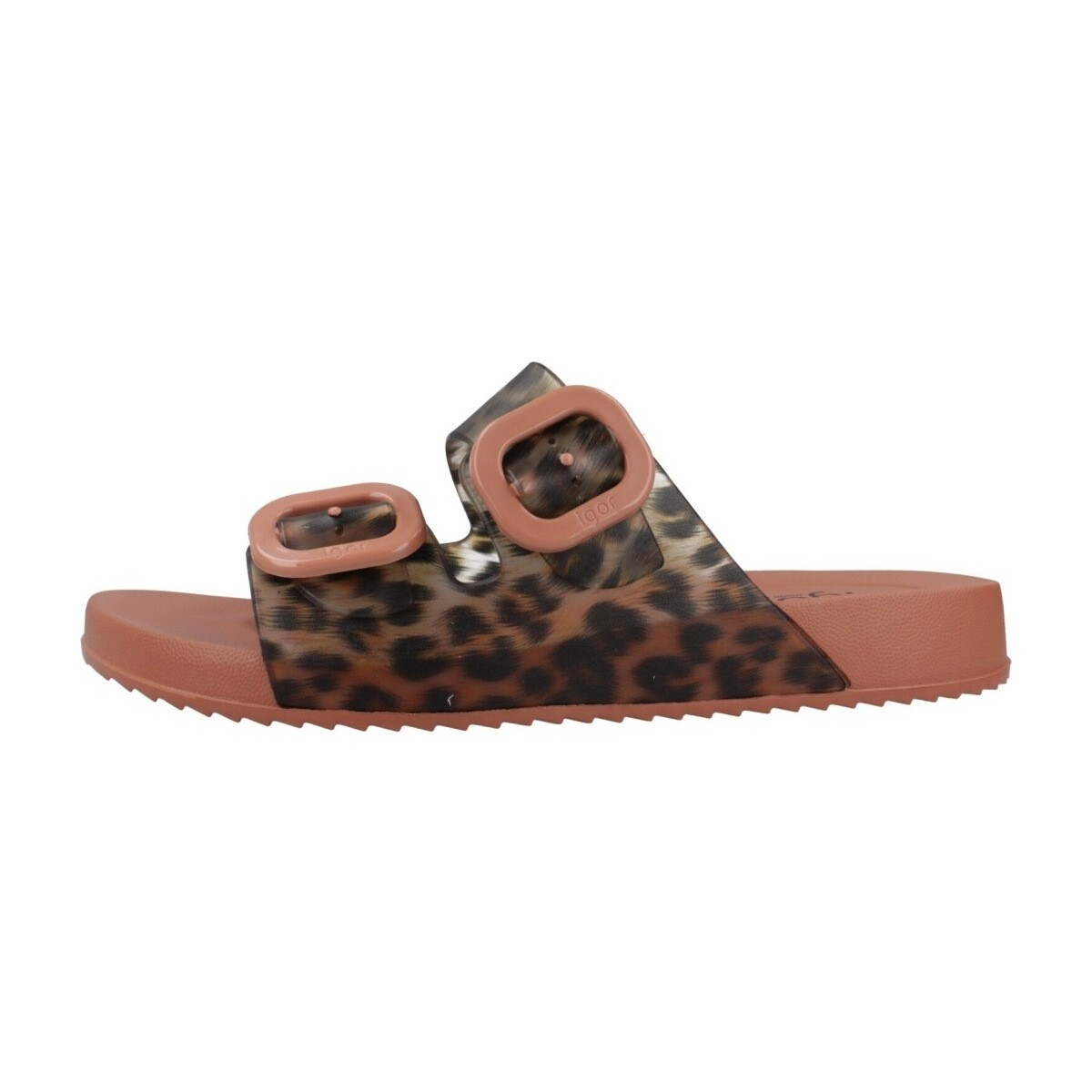 IGOR  HABANA  Hnědá