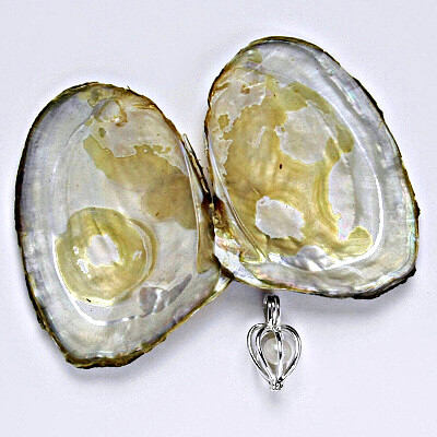 Stříbrný přívěšek klícka P 957, přírodní říční perla, perla přání a přátelství v perlorodce